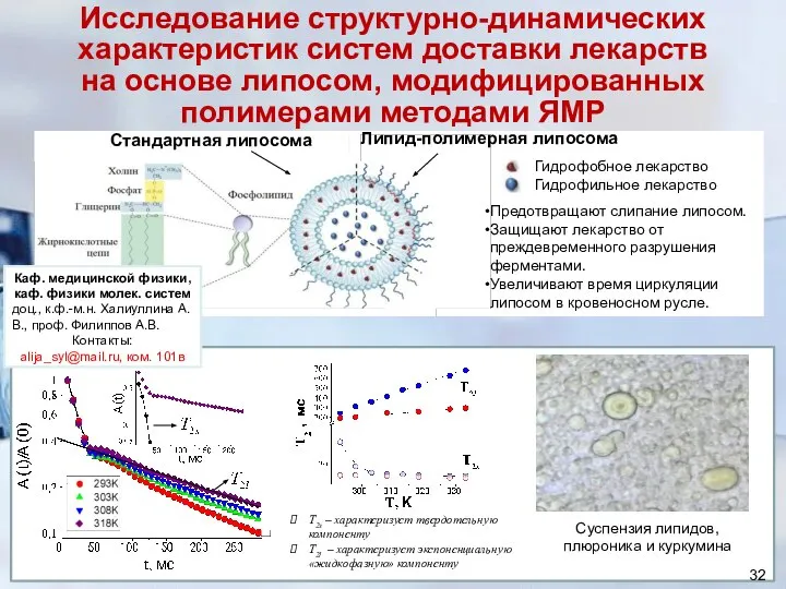 Исследование структурно-динамических характеристик систем доставки лекарств на основе липосом, модифицированных полимерами методами