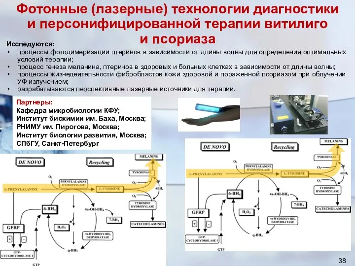 Фотонные (лазерные) технологии диагностики и персонифицированной терапии витилиго и псориаза Исследуются: процессы