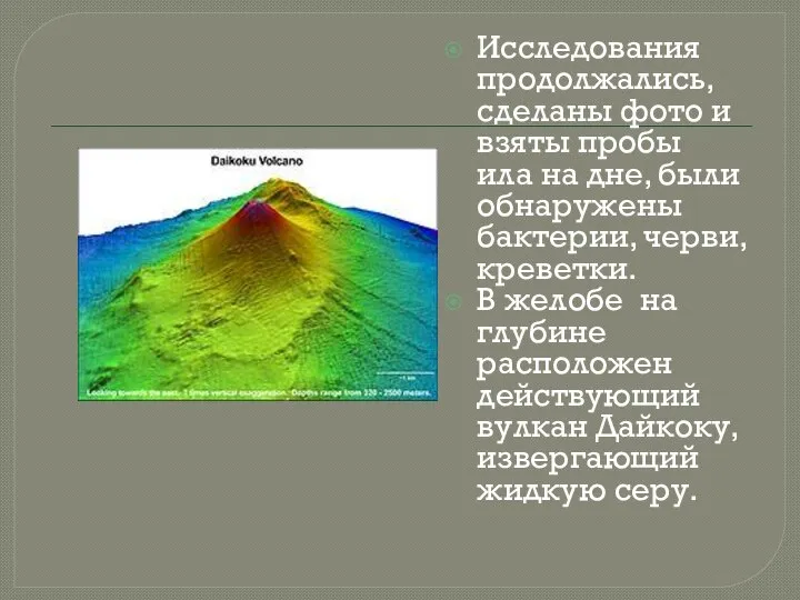 Исследования продолжались, сделаны фото и взяты пробы ила на дне, были обнаружены