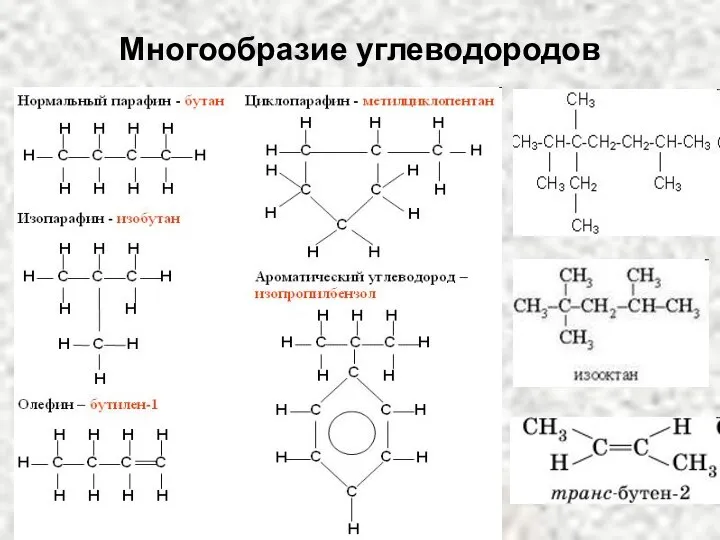 Многообразие углеводородов