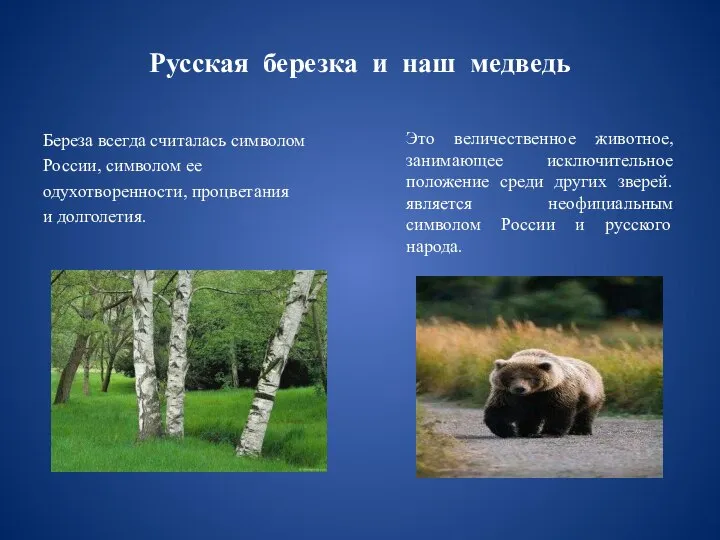 Русская березка и наш медведь Береза всегда считалась символом России, символом ее