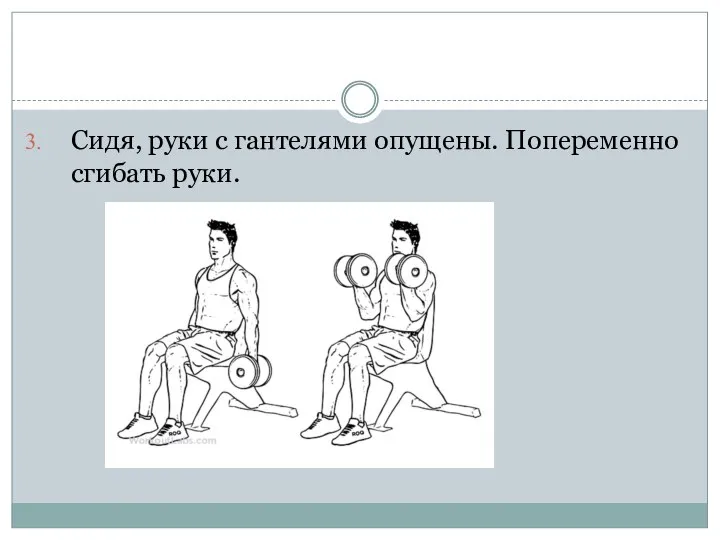 Сидя, руки с гантелями опущены. Попеременно сгибать руки.