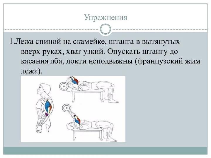 Упражнения 1.Лежа спиной на скамейке, штанга в вытянутых вверх руках, хват узкий.