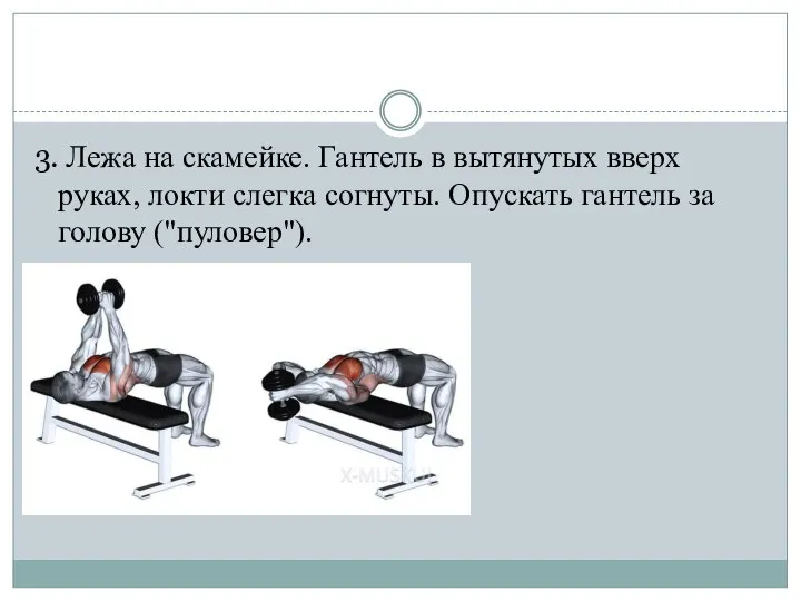 3. Лежа на скамейке. Гантель в вытянутых вверх руках, локти слегка согнуты.