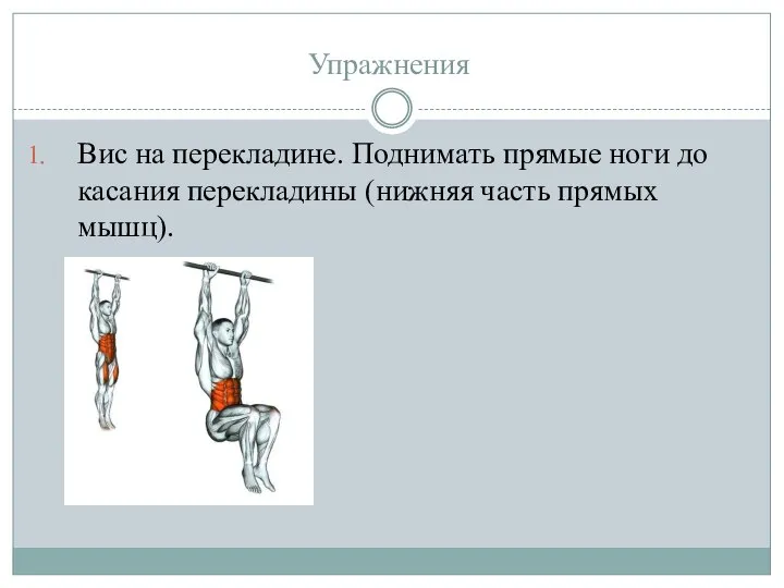 Упражнения Вис на перекладине. Поднимать прямые ноги до касания перекладины (нижняя часть прямых мышц).