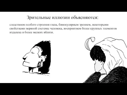 Зрительные иллюзии объясняются: следствием особого строения глаза, бинокулярным зрением, некоторыми свойствами нервной