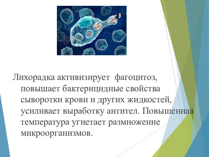 Лихорадка активизирует фагоцитоз, повышает бактерицидные свойства сыворотки крови и других жидкостей, усиливает