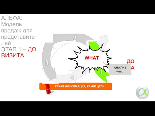 АЛЬФА: Модель продаж для представителей ЭТАП 1 – ДО ВИЗИТА WHAT