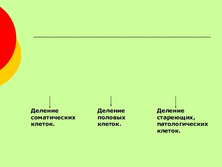 Деление соматических клеток. Деление половых клеток. Деление стареющих, патологических клеток.