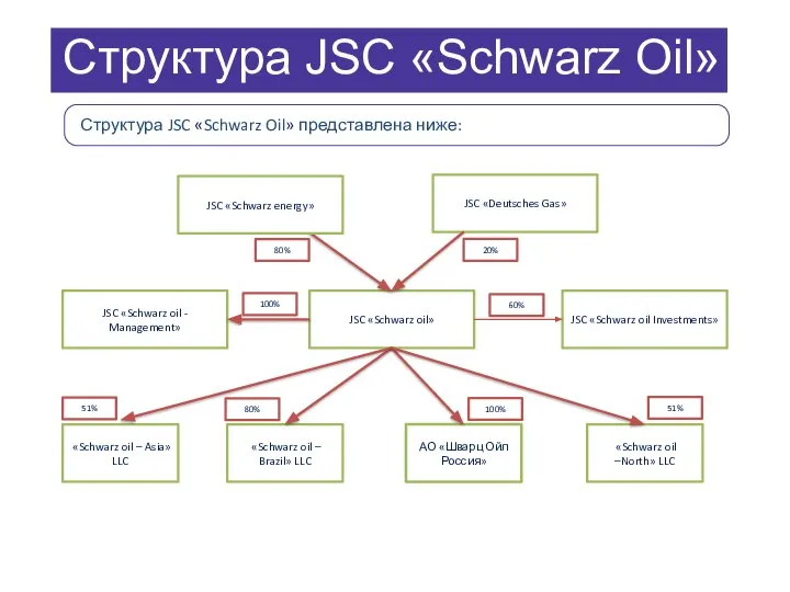 Структура JSC «Schwarz Oil» Структура JSC «Schwarz Oil» представлена ниже: