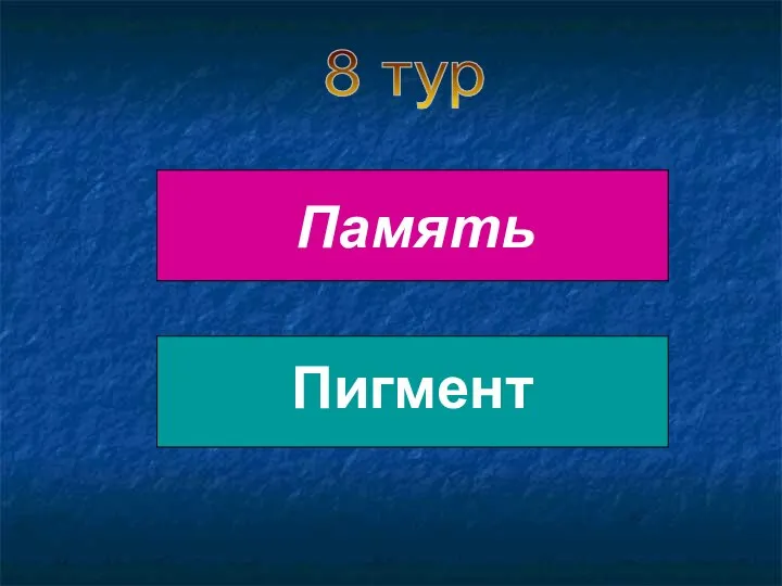 8 тур Память Пигмент