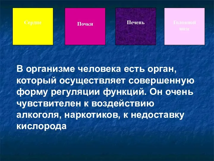 В организме человека есть орган, который осуществляет совершенную форму регуляции функций. Он