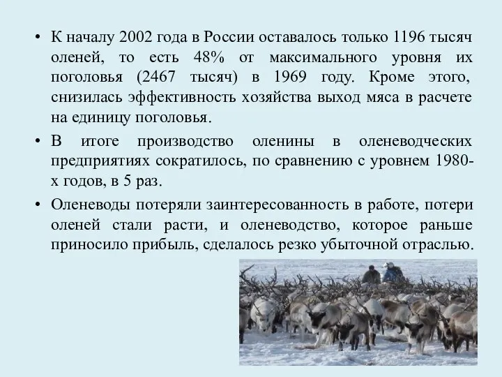 К началу 2002 года в России оставалось только 1196 тысяч оленей, то