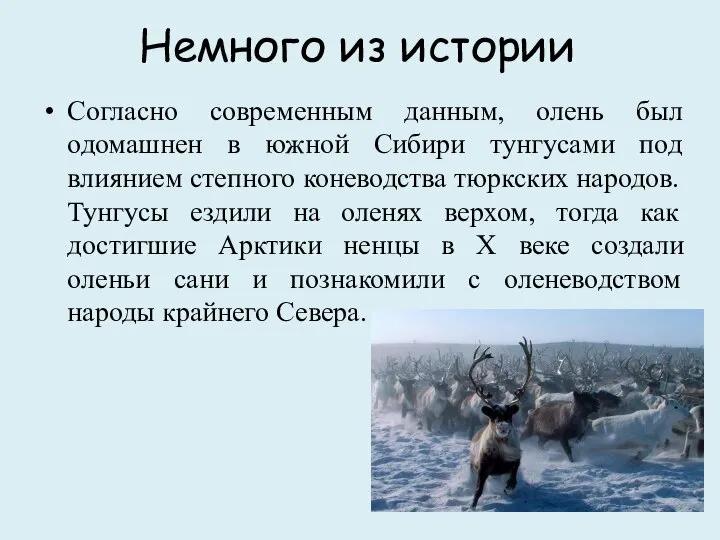 Немного из истории Согласно современным данным, олень был одомашнен в южной Сибири