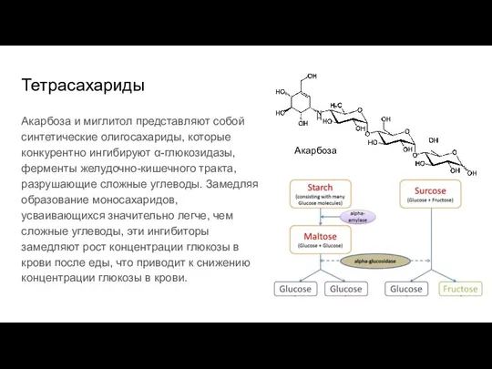 Тетрасахариды Акарбоза и миглитол представляют собой синтетические олигосахариды, которые конкурентно ингибируют α-глюкозидазы,