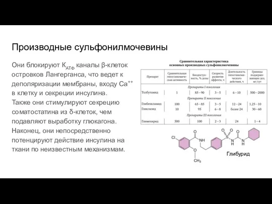 Производные сульфонилмочевины Они блокируют КАТФ каналы β-клеток островков Лангерганса, что ведет к