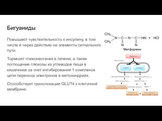 Бигуаниды Повышают чувствительность к инсулину, в том числе и через действие на