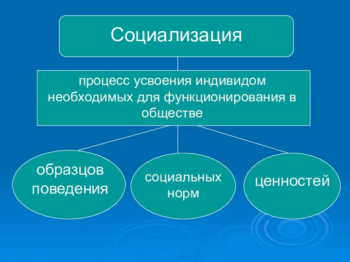 Социализация процесс усвоения индивидом необходимых для функционирования в обществе образцов поведения социальных норм ценностей