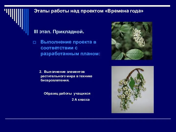 Этапы работы над проектом «Времена года» III этап. Прикладной. Выполнение проекта в