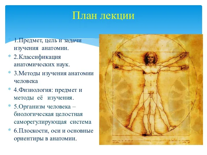 План лекции 1.Предмет, цель и задачи изучения анатомии. 2.Классификация анатомических наук. 3.Методы