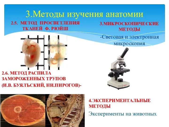 3.Методы изучения анатомии 2.5. МЕТОД ПРОСВЕТЛЕНИЯ ТКАНЕЙ Ф. РЮЙШ 2.6. МЕТОД РАСПИЛА