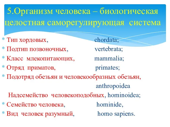 5.Организм человека – биологическая целостная саморегулирующая система Тип хордовых, chordata; Подтип позвоночных,