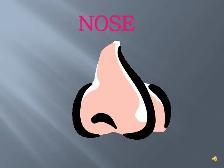 NOSE