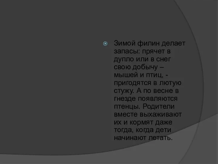 Зимой филин делает запасы: прячет в дупло или в снег свою добычу