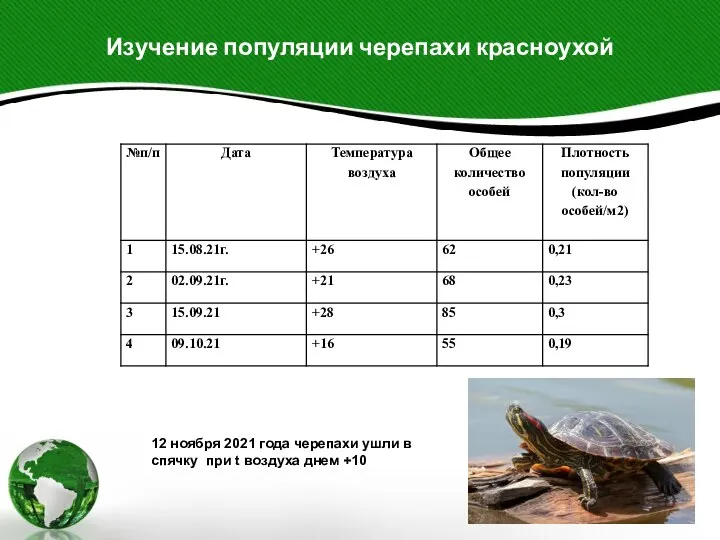 Изучение популяции черепахи красноухой 12 ноября 2021 года черепахи ушли в спячку