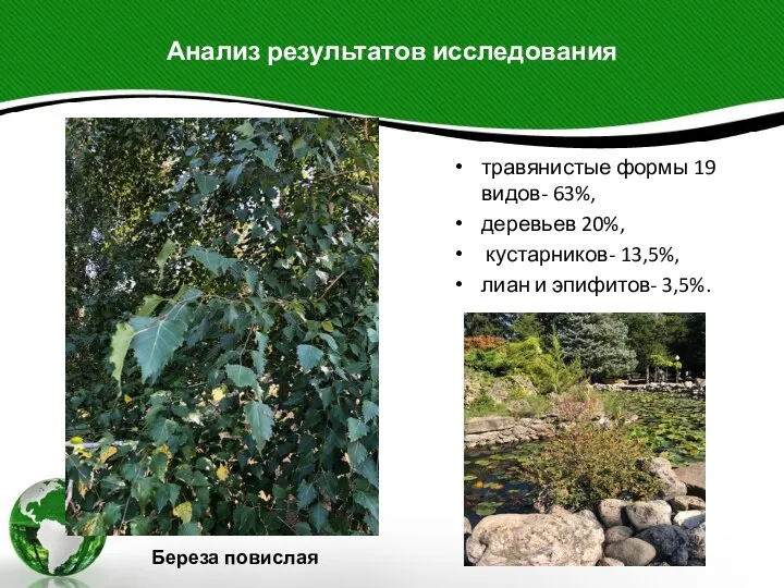 Анализ результатов исследования травянистые формы 19 видов- 63%, деревьев 20%, кустарников- 13,5%,