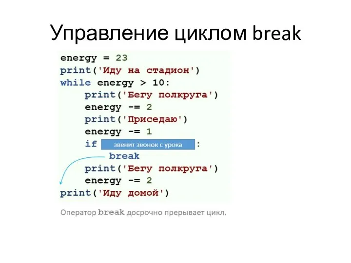 Управление циклом break