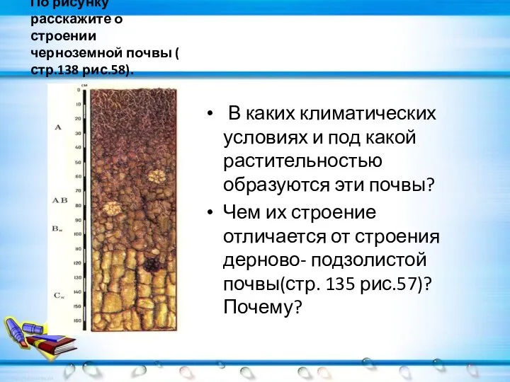 По рисунку расскажите о строении черноземной почвы ( стр.138 рис.58). В каких