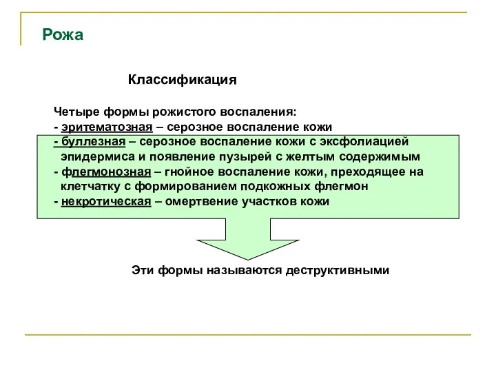 Рожа Классификация Четыре формы рожистого воспаления: - эритематозная – серозное воспаление кожи