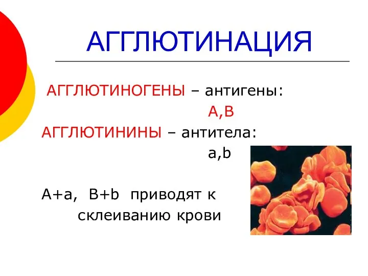 АГГЛЮТИНАЦИЯ АГГЛЮТИНОГЕНЫ – антигены: А,В АГГЛЮТИНИНЫ – антитела: a,b А+а, B+b приводят к склеиванию крови