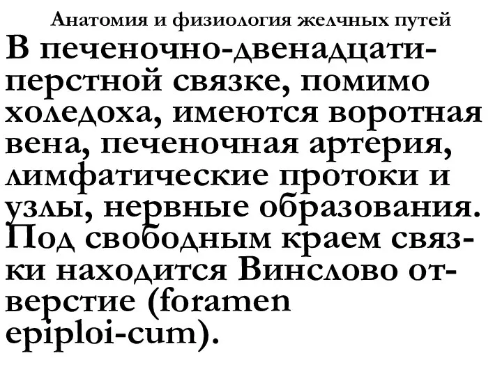 Анатомия и физиология желчных путей В печеночно-двенадцати-перстной связке, помимо холедоха, имеются воротная