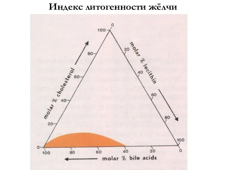 Индекс литогенности жёлчи