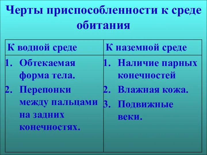 Черты приспособленности к среде обитания