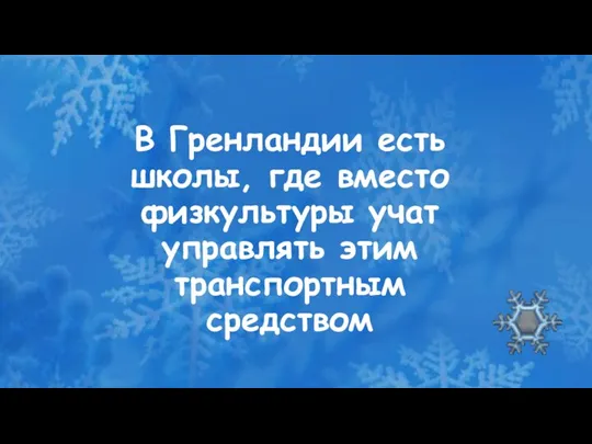 В Гренландии есть школы, где вместо физкультуры учат управлять этим транспортным средством