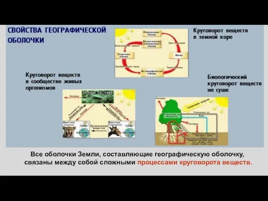 Все оболочки Земли, составляющие географическую оболочку, связаны между собой сложными процессами круговорота веществ.