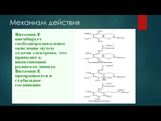 Механизм действия