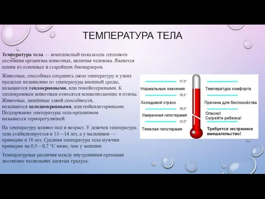 ТЕМПЕРАТУРА ТЕЛА Температура тела — комплексный показатель теплового состояния организма животных, включая