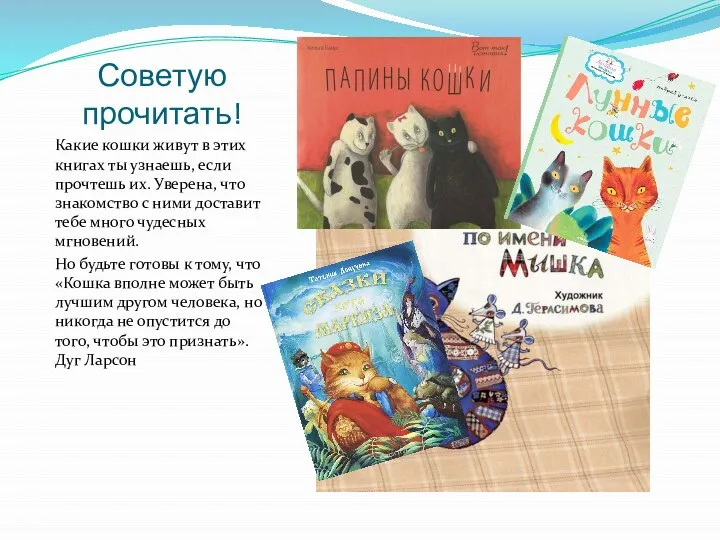 Советую прочитать! Какие кошки живут в этих книгах ты узнаешь, если прочтешь