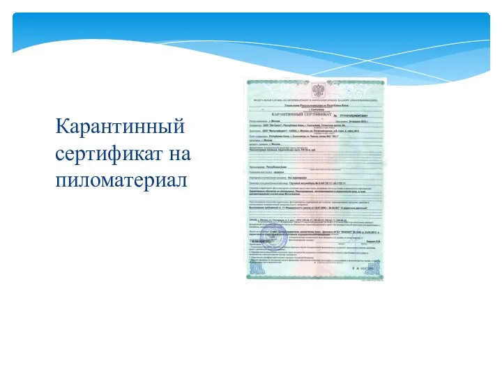 Карантинный сертификат на пиломатериал