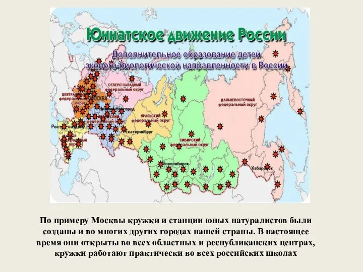 По примеру Москвы кружки и станции юных натуралистов были созданы и во