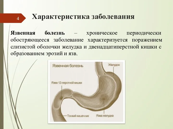 Характеристика заболевания Язвенная болезнь – хроническое периодически обостряющееся заболевание характеризуется поражением слизистой