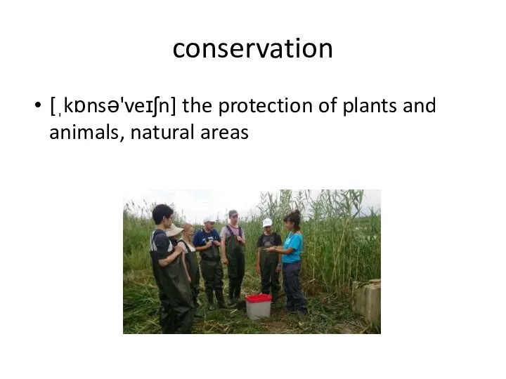 conservation [ˌkɒnsə'veɪʃn] the protection of plants and animals, natural areas