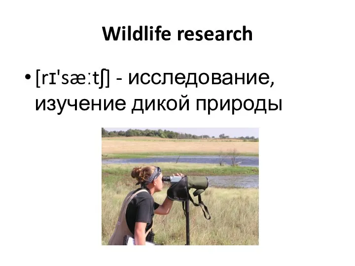 Wildlife research [rɪ'sæːtʃ] - исследование, изучение дикой природы
