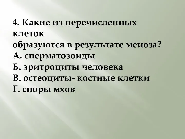 4. Какие из перечисленных клеток образуются в результате мейоза? А. сперматозоиды Б.