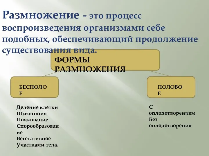 Размножение - это процесс воспроизведения организмами себе подобных, обеспечивающий продолжение существования вида.