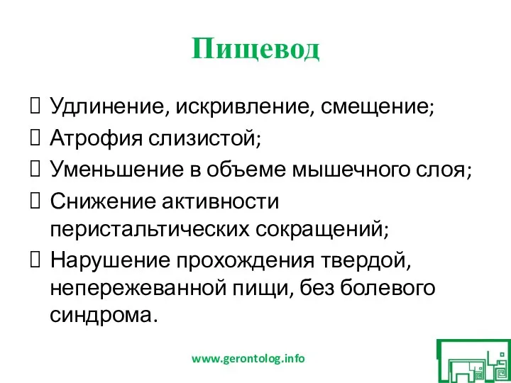 Пищевод Удлинение, искривление, смещение; Атрофия слизистой; Уменьшение в объеме мышечного слоя; Снижение